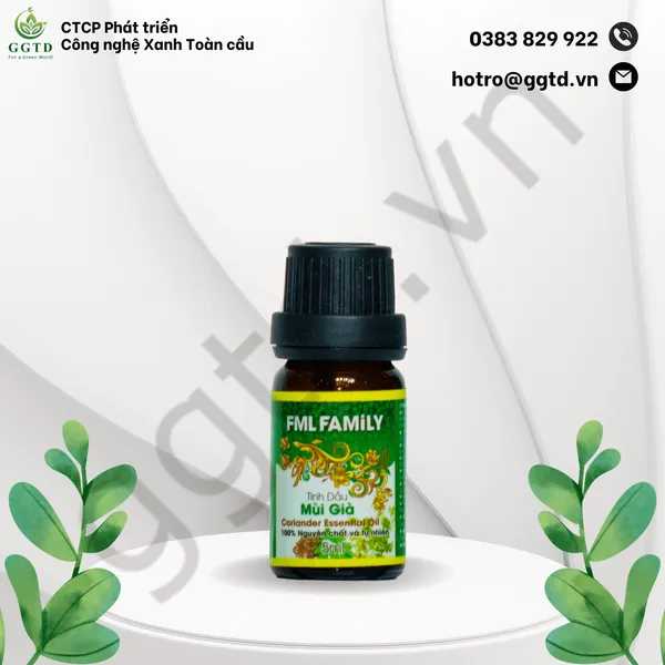 Tinh dầu Mùi già (Lọ nhỏ giọt 5ml)