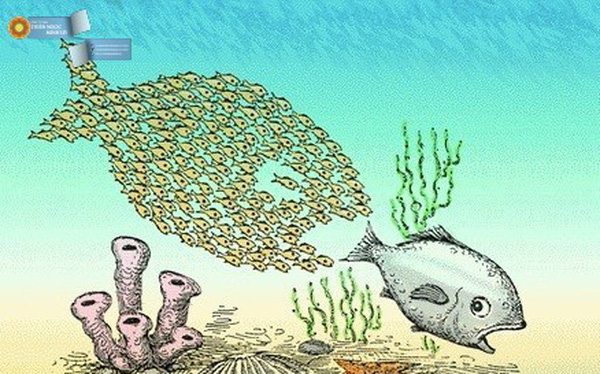 Chuyển đổi số có phải cây đũa thần mùa dịch Covid-19 ? Chuyển đổi số có phải cây đũa thần mùa dịch Covid-19 ?