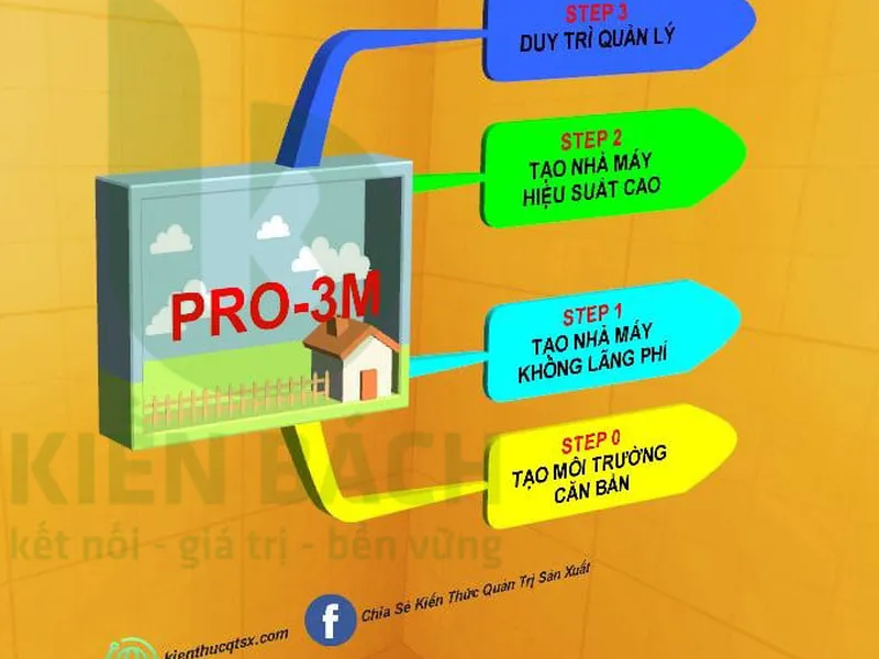 PRO-3M LÀ GÌ?