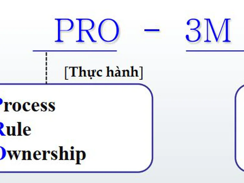 CÁC BƯỚC THỰC HIỆN PRO – 3M