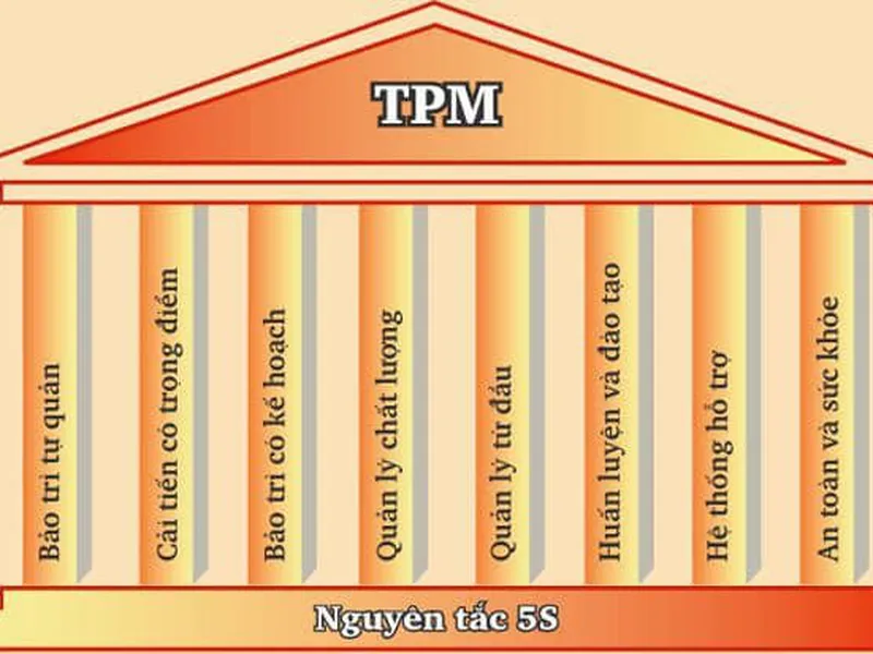 Đào Tạo Và Huấn Luyện