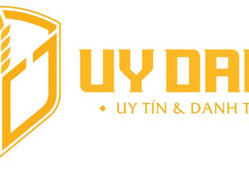CÔNG TY TNHH DỊCH VỤ và TƯ VẤN TAX UY DANH