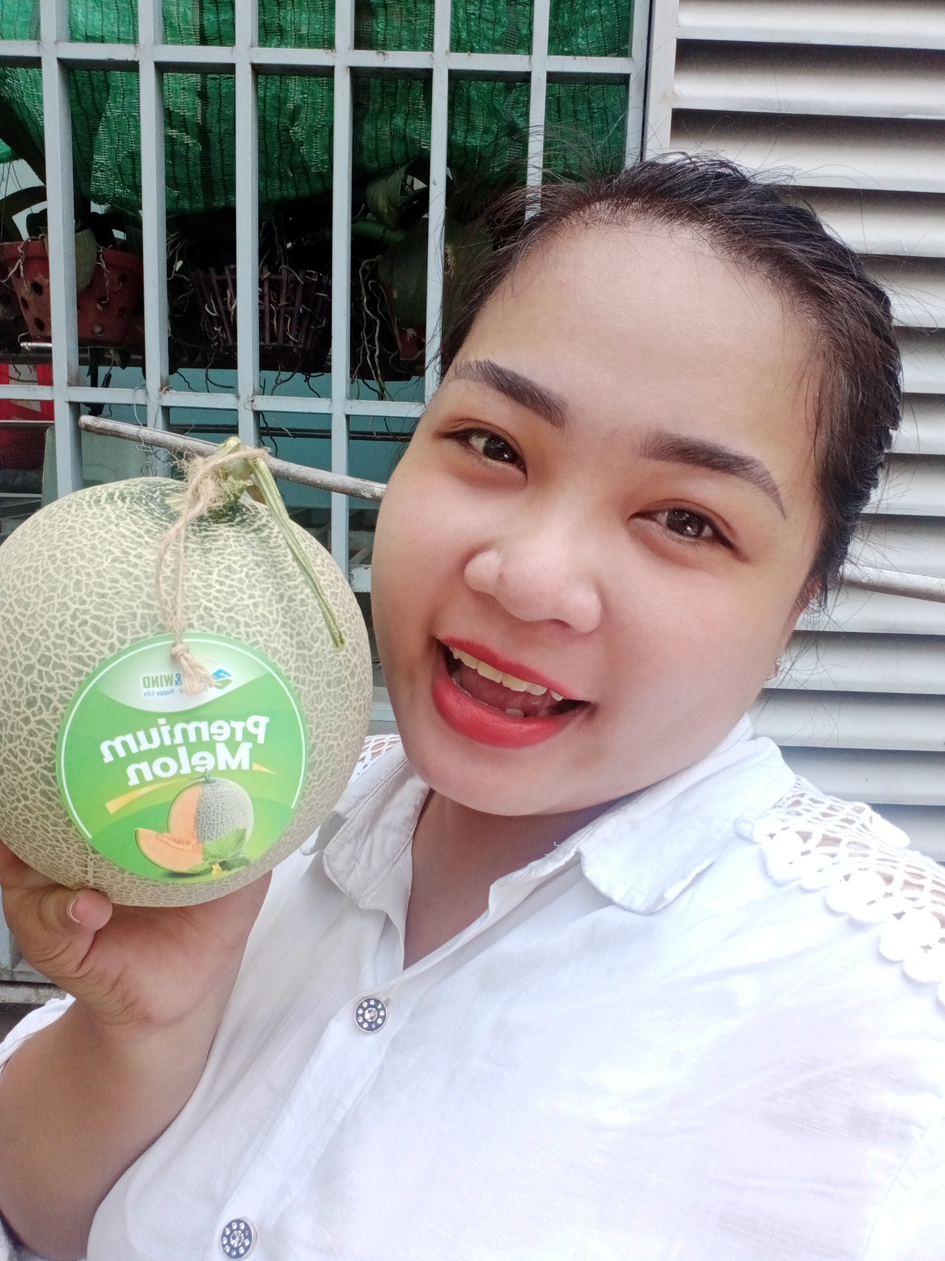 DƯA LƯỚI THƯỢNG HẠNG - SẢN PHẨM NÔNG NGHIỆP CHẤT LƯỢNG CAO CỦA GC FOOD DƯA LƯỚI THƯỢNG HẠNG - SẢN PHẨM NÔNG NGHIỆP CHẤT LƯỢNG CAO CỦA GC FOOD