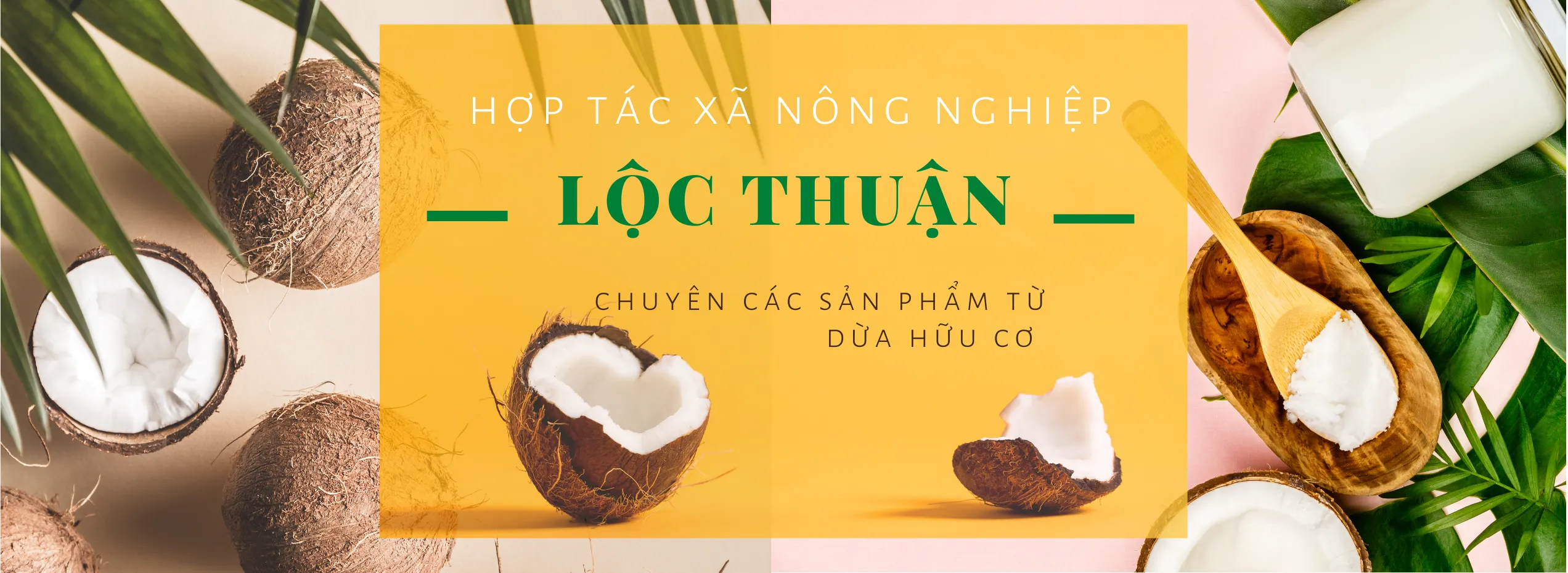 Vườn dừa hữu cơ Bến Tre