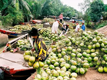 HTX NN Lộc Thuận - Tiềm năng phát triển nông nghiệp Bến Tre