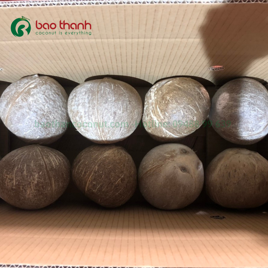 Dừa khô đánh bóng