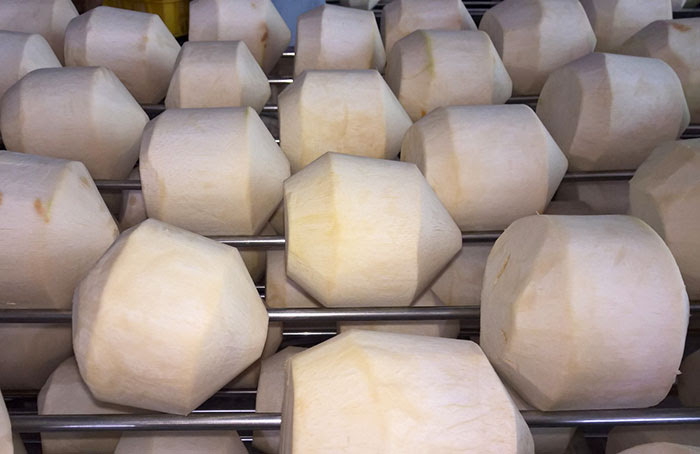 Đặc điểm của dừa kim cương ngược