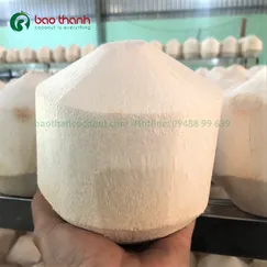 Dừa kim cương