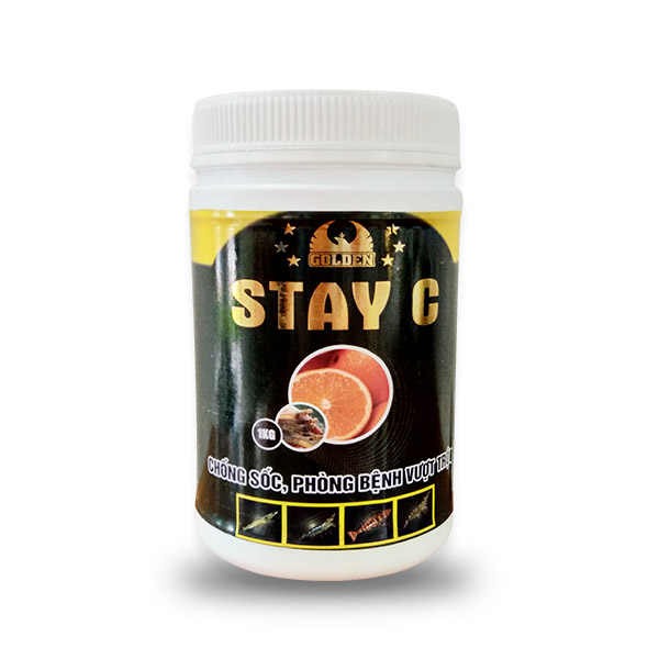 STAY C Chống sốc, phòng bệnh vượt trội cho tôm STAY C Chống sốc, phòng bệnh vượt trội cho tôm