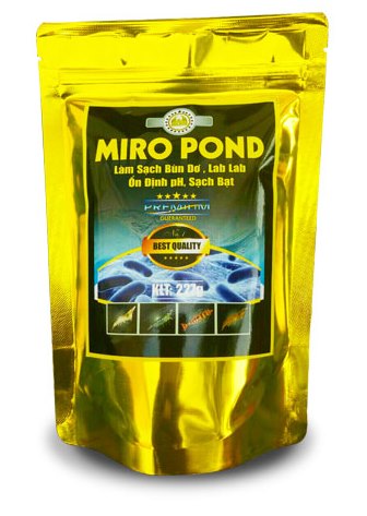 Men vi sinh chuyên xử lý môi trường nước ao tôm Men vi sinh chuyên xử lý môi trường nước ao tôm