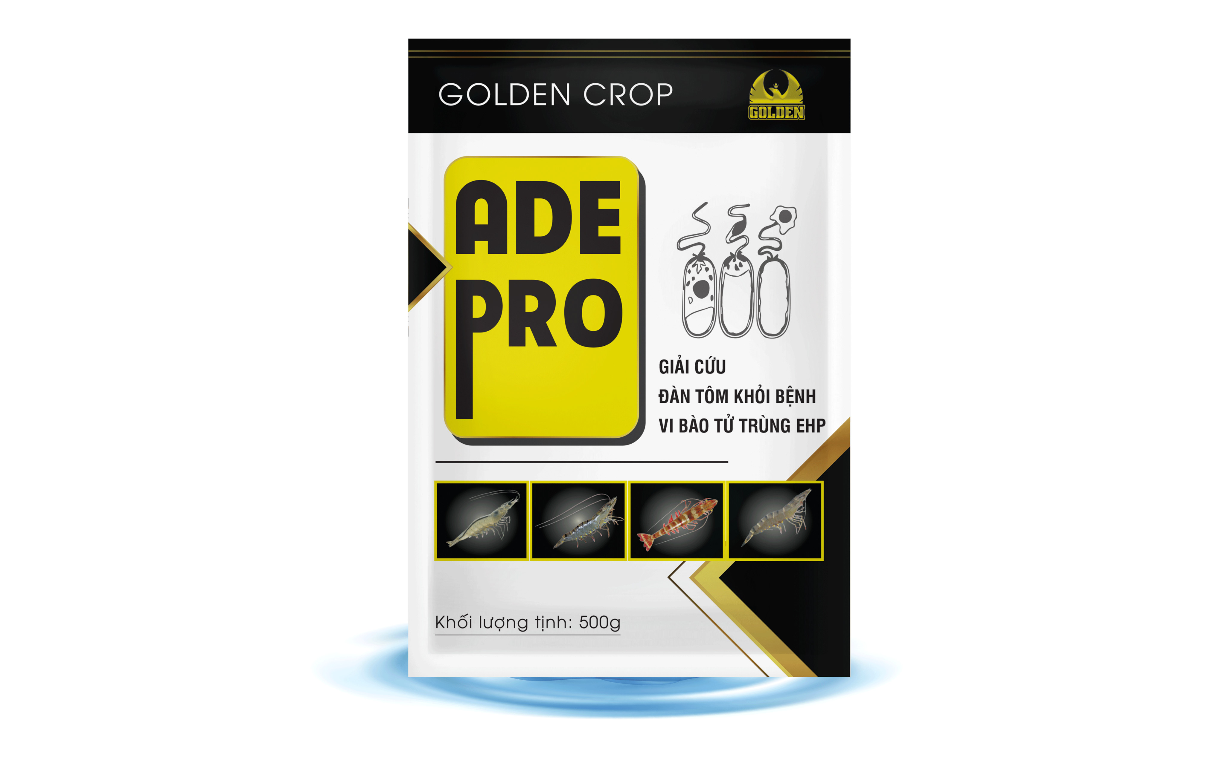 Thuốc phòng và điều trị vi bào tử trùng EHP Thuốc phòng và điều trị vi bào tử trùng EHP