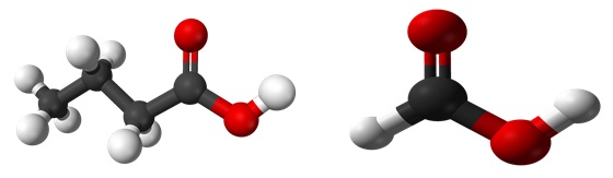 Acid butyric và Acid formic Acid butyric và Acid formic