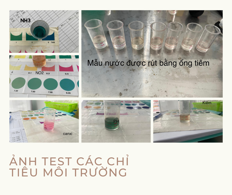kiểm tra độ kiềm thấp trong ao tôm