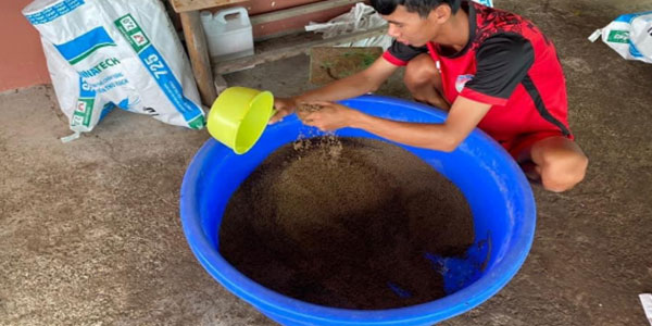 Sử dụng HYDROREX để bao bọc viên thức ăn cho tôm Sử dụng HYDROREX để bao bọc viên thức ăn cho tôm