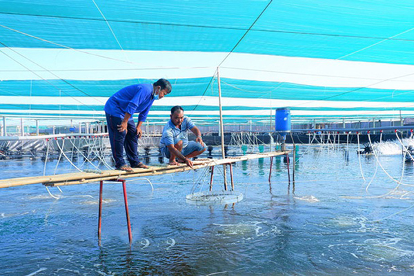 ben tre tong san luong nuoi trong thuy san thang 7 nam 2023 uoc dat 32 nghin tan