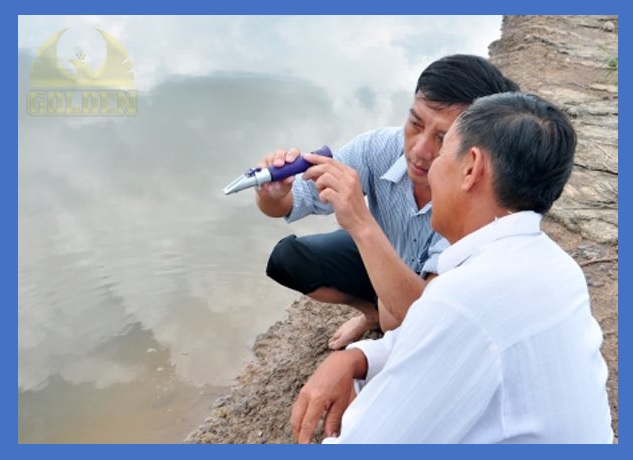 đo độ mặn trong ao nuôi tôm