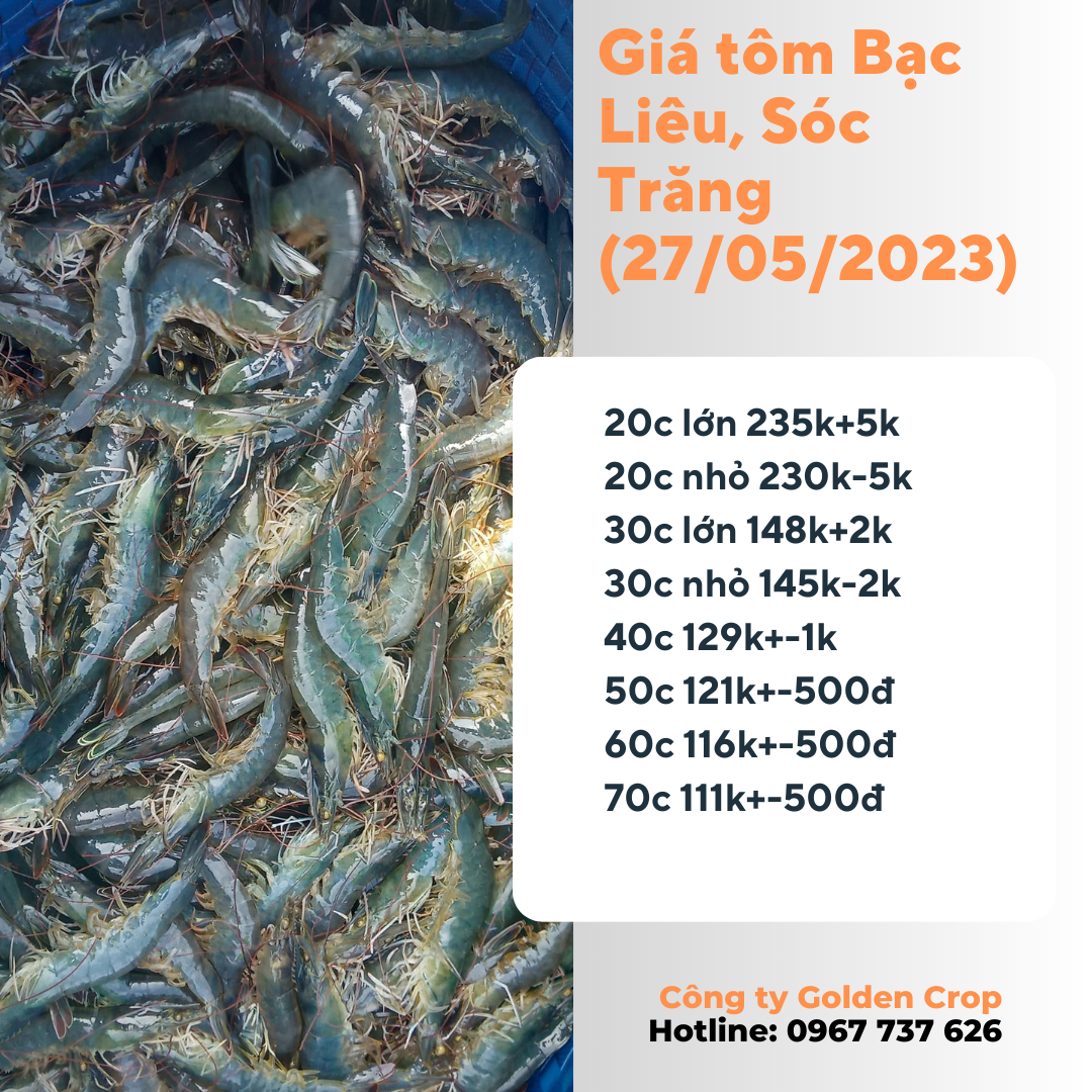 giá tôm ngày 27-5-2023