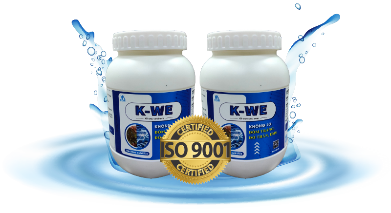 Kháng thể phòng ngừa virus đốm trắng trên tôm Kháng thể phòng ngừa virus đốm trắng trên tôm