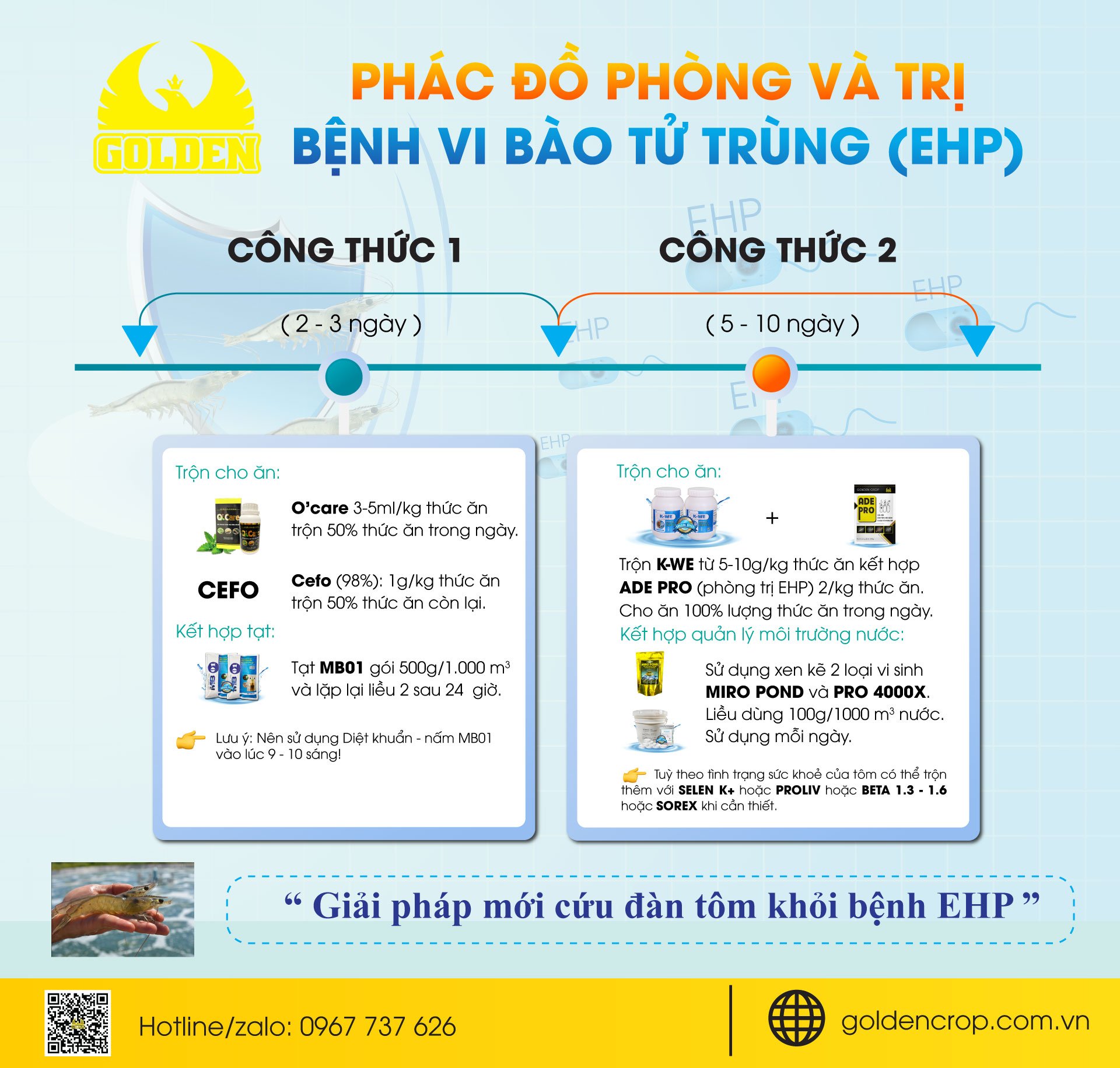 Phác đồ phòng và điều trị tôm bị vi bào tử trùng EHP Phác đồ phòng và điều trị tôm bị vi bào tử trùng EHP