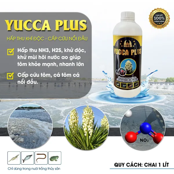 YUCCA PLUS - Hấp thụ khí độc, cấp cứu tôm nổi đầu, tấp mé