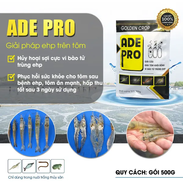 ADE PRO - Giải cứu đàn tôm khỏi bệnh vi bào tử trùng EHP