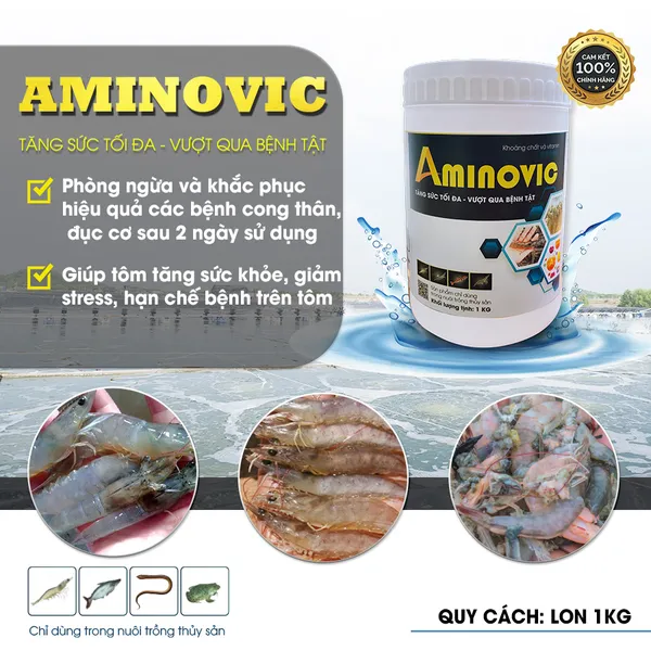 AMINOVIC - Constantly identified, super weight gain
