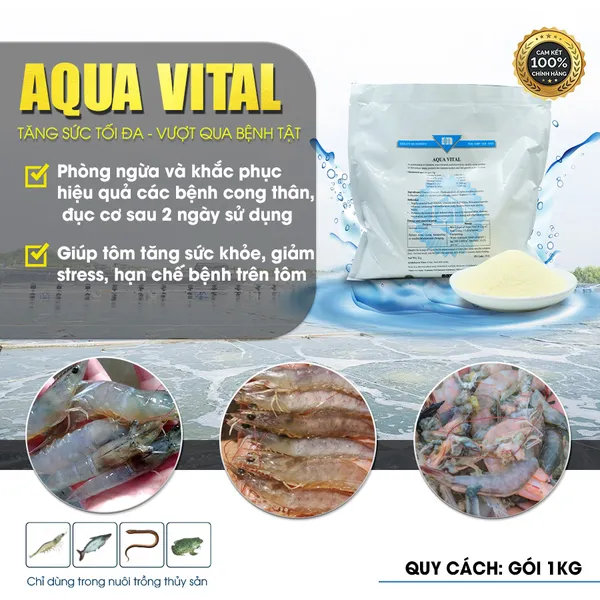 AQUA VITAL - "Vua" tăng sức đề kháng, chống chọi mọi bệnh tật