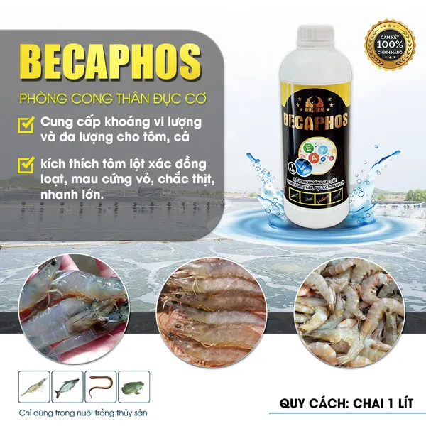 BECAPHOS - Cung cấp khoáng chất cho tôm
