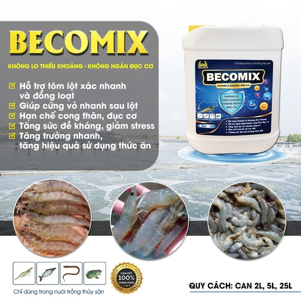 BECOMIX – Vitamin & Khoáng hữu cơ giúp tôm cứng vỏ, chắc thịt, khỏe mạnh.
