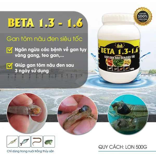 BETA 1.3 - 1.6 - Increased resistance to shrimp