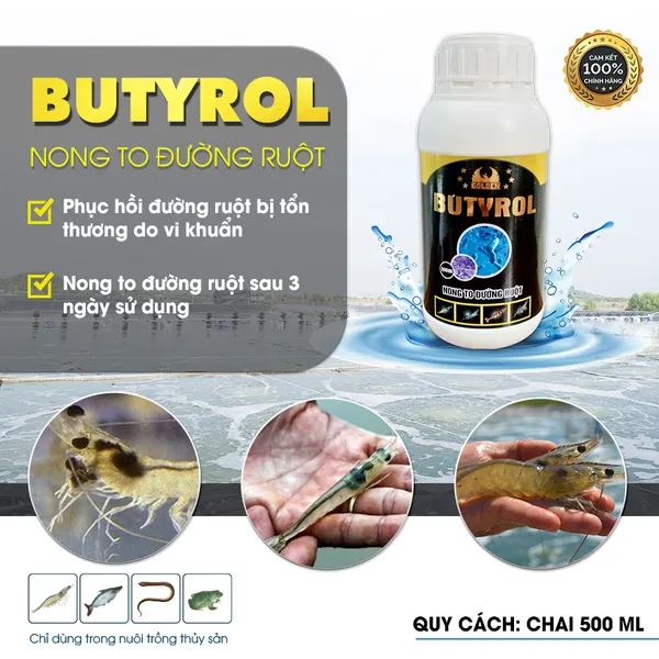 BUTYROL - Intestinal enlargement