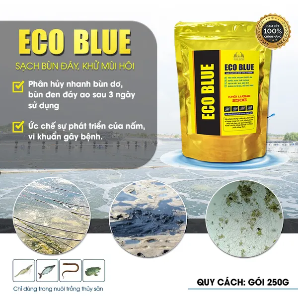 MEN VI SINH ECO BLUE - Xử lý bùn đáy, ổn định môi trường ao nuôi