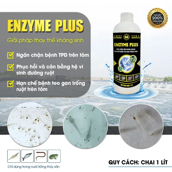 ENZYME PLUS - Thuốc phòng trị bệnh teo gan trống ruột trên tôm