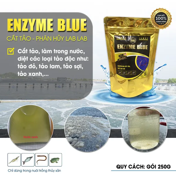 ENZYME BLUE - Diệt tảo độc trong ao tôm