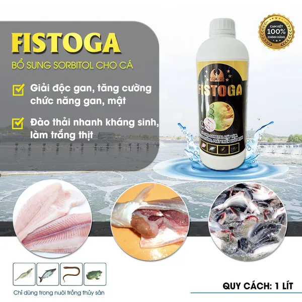 FISTOGA - Giải độc gan cho cá