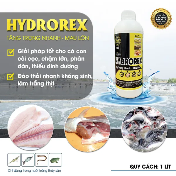 HYDROREX - Giúp cá tăng trọng nhanh, mau lớn