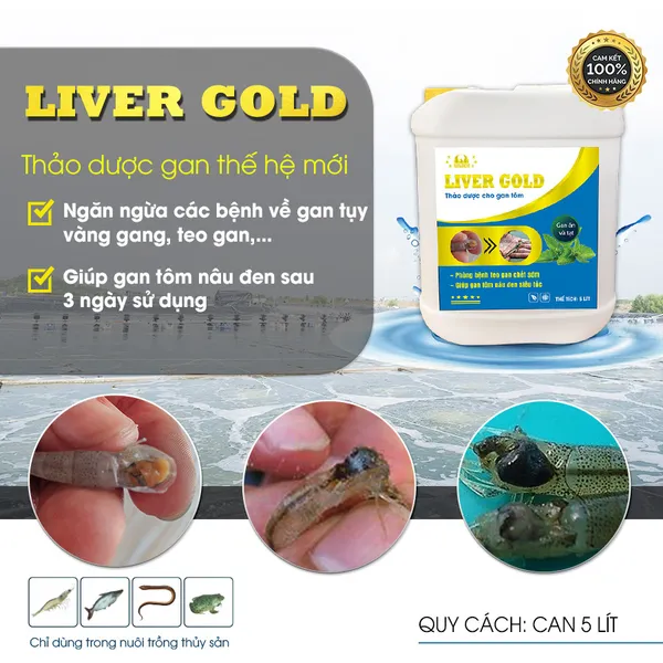 LIVER GOLD - Thảo dược cho gan tôm