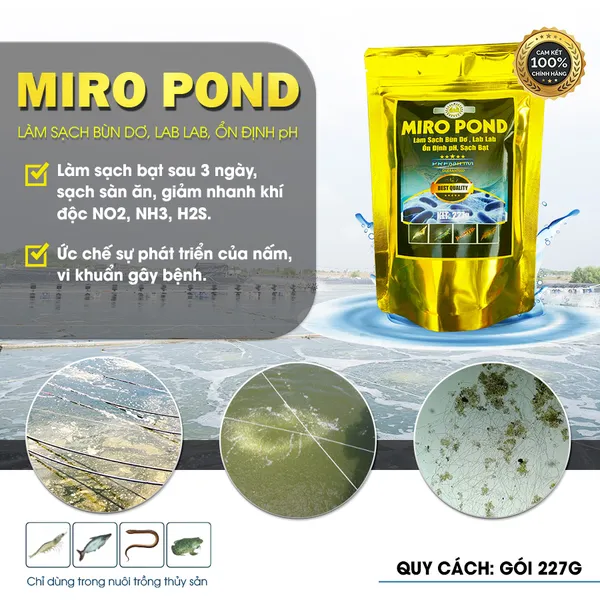 MIRO POND - Men vi sinh xử lý nước ao nuôi tôm