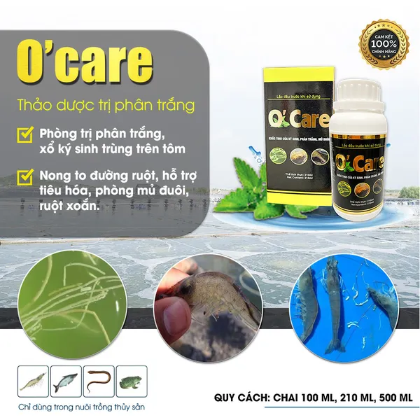O'CARE - PHÒNG TRỊ BỆNH PHÂN TRẮNG TRÊN TÔM