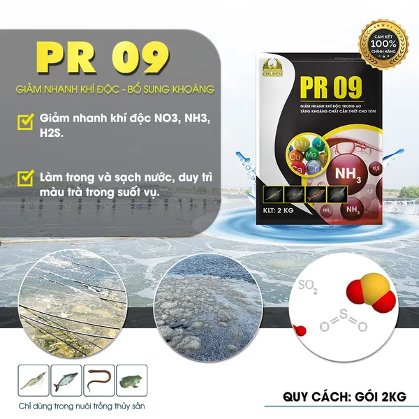 PR 09 - Giảm nhanh khí độc trong ao nuôi, tăng khoáng chất cần thiết cho tôm