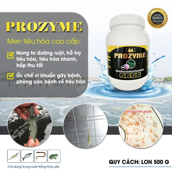 PROZYME - men tiêu hóa nong to đường ruột cho tôm, phòng phân trắng