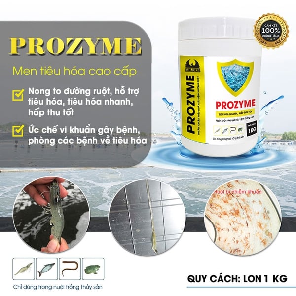 PROZYME - men tiêu hóa nong to đường ruột cho tôm, phòng phân trắng