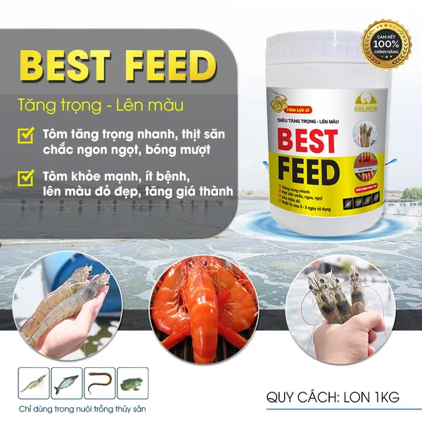 BEST FEED – Giải Pháp Siêu Tăng Trọng Lên Màu Cho Tôm