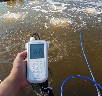 Thường xuyên kiểm tra oxy trong ao và bổ sung thêm vỉ oxy cho ao tôm Thường xuyên kiểm tra oxy trong ao và bổ sung thêm vỉ oxy cho ao tôm