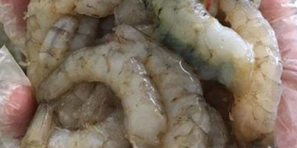 Tôm chết sau khi lột xác không cứng vỏ Tôm chết sau khi lột xác không cứng vỏ