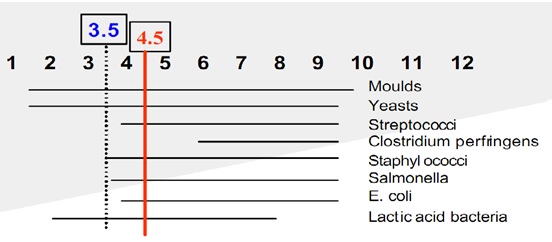 Vi khuẩn gây bệnh bị ức chế ở điều kiện pH đường ruột <3.5 Vi khuẩn gây bệnh bị ức chế ở điều kiện pH đường ruột <3.5