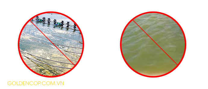 Men vi sinh Miro Pond - Siêu vi sinh phần hủy bùn dơ, làm sạch nước, sạch bạt ao tôm Men vi sinh Miro Pond - Siêu vi sinh phần hủy bùn dơ, làm sạch nước, sạch bạt ao tôm