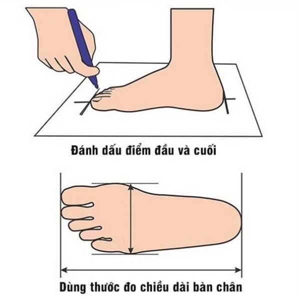 Cách đo chiều dài chân để chọn giày bảo hộ lao động
