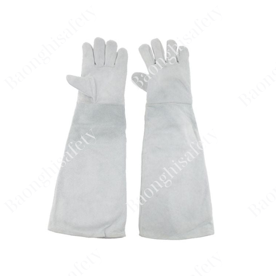 GĂNG TAY DA HÀN DÀI (VIỆT NAM)