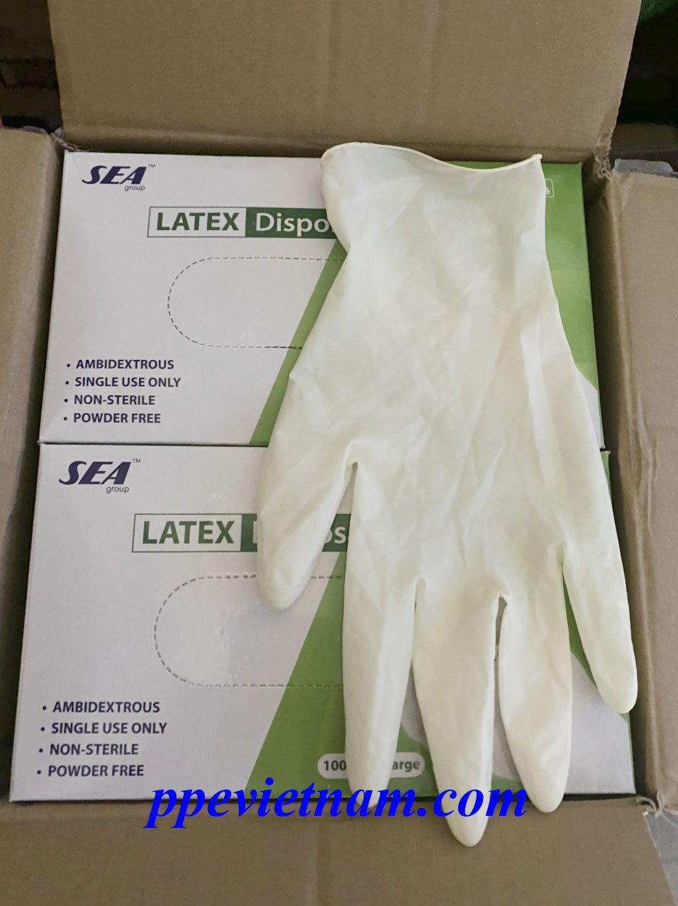 GĂNG TAY LATEX KHÔNG BỘT SEA